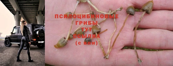 наркотики Абинск