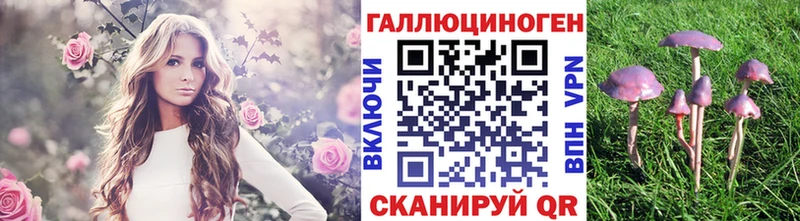 площадка телеграм  Таштагол  кракен как войти  Псилоцибиновые грибы GOLDEN TEACHER  купить закладку 